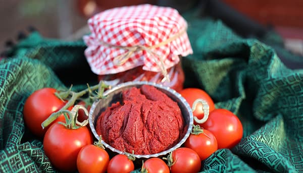 Domates Salçası