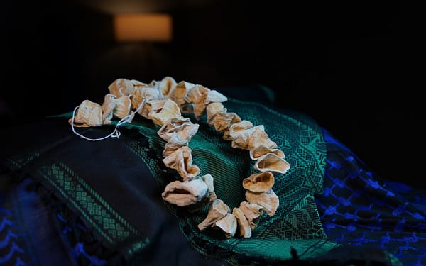 Kabak Kurusu (Dolmalık)